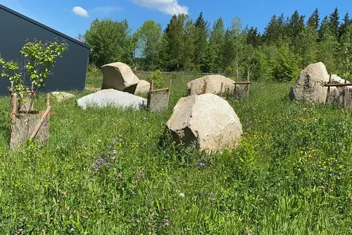 Umweltschutz Umweltschutz